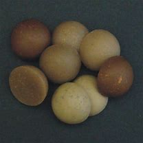 ENTERPRISE TACKLE 15MM HALF BOILIES